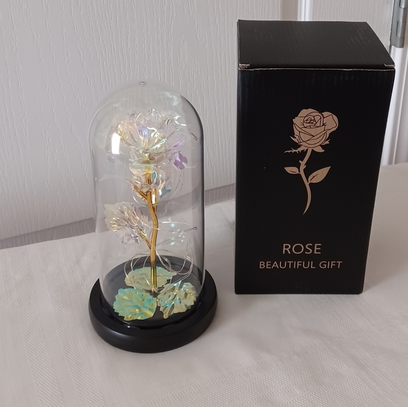 Beautiful Rose Gift - Picture 2 of 8